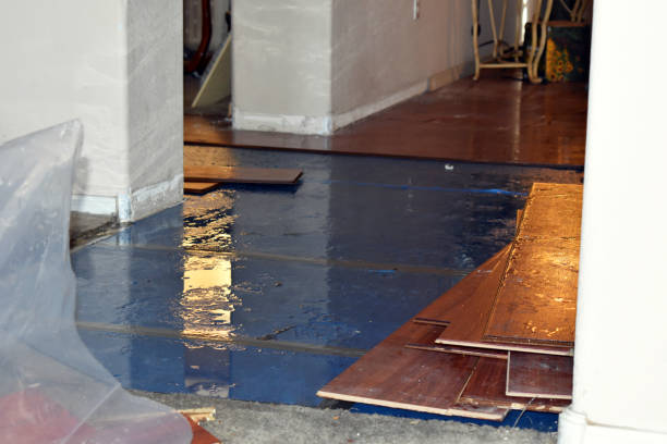 Professional Water Damage Restoration technician working in Springfield, ME